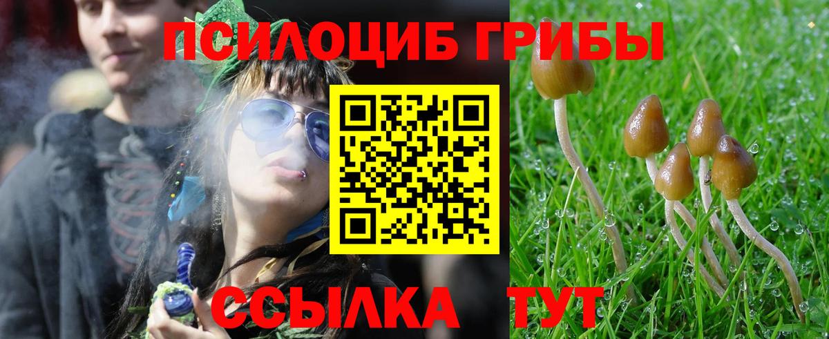 Псилоцибиновые грибы MAGIC MUSHROOMS  Галлюциногенные грибы мицелий  Вход с VPN  Боровичи 