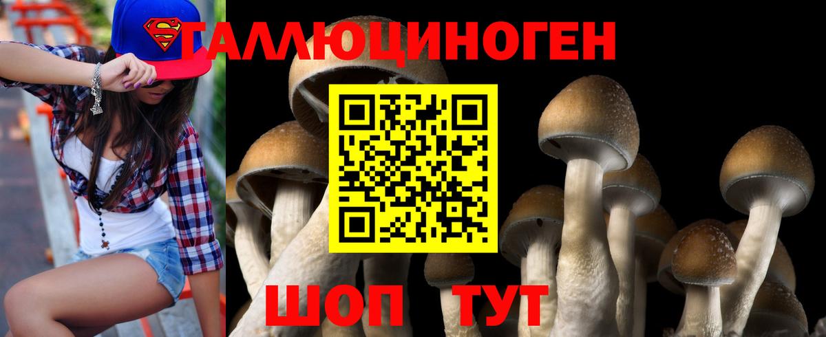 Псилоцибиновые грибы прущие грибы Боровичи